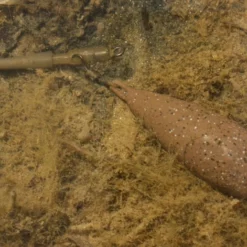 Korda Tournament Casting Swivel Lead 5 Korda Tournament Casting Swivel Lead -Game Fishing Shop 1297111915 large