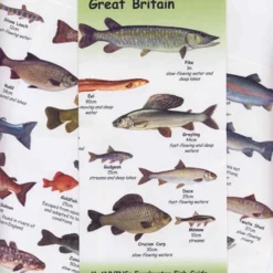 Nigel Clarke Publications Freshwater Fish Of Great Britain Chart
