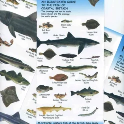 Nigel Clarke Publications British Inshore Fish Guide Chart