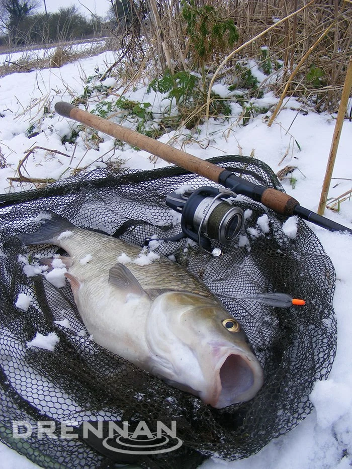 Drennan Crystal Avons 6 Drennan Crystal Avons - Image 4