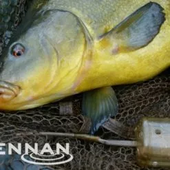 Drennan Bolt Rig Feeders -Game Fishing Shop 1366193159 2