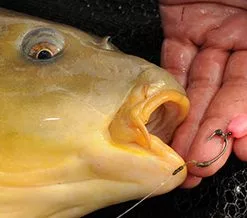 Korda Slow Sinking Dumbells -Game Fishing Shop 1381413779 1