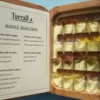 Turrall Presentation Fly Set - Mayflies