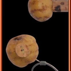 ESP Nut Drill 4mm -Game Fishing Shop 1394802563 2