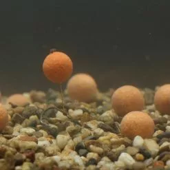 Mainline Balanced Wafters -Game Fishing Shop 1396552706 3