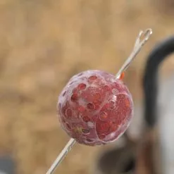 Korda Super Wrap -Game Fishing Shop 1400080891 20