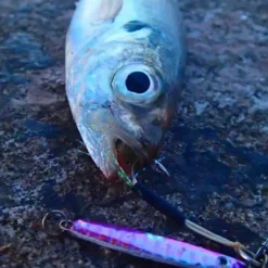 HTO Shore Jigs -Game Fishing Shop 1407161336 12