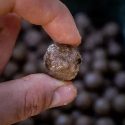 Nash Salted Squid Particle Liquid -Game Fishing Shop 140we2cn638036708443765143