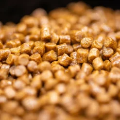 Sonubaits Absolute Fish Oil 12 Sonubaits Absolute Fish Oil -Game Fishing Shop 1n5xej5t637831076906033443