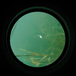 Carp Spirit Water Scanner 15 Carp Spirit Water Scanner -Game Fishing Shop 1t34wibr638116347693038985