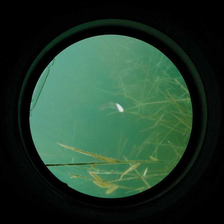 Carp Spirit Water Scanner 8 Carp Spirit Water Scanner - Image 6