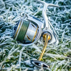 Daiwa 21 Freams LT Reels -Game Fishing Shop 1u3khcwr638068063445212107