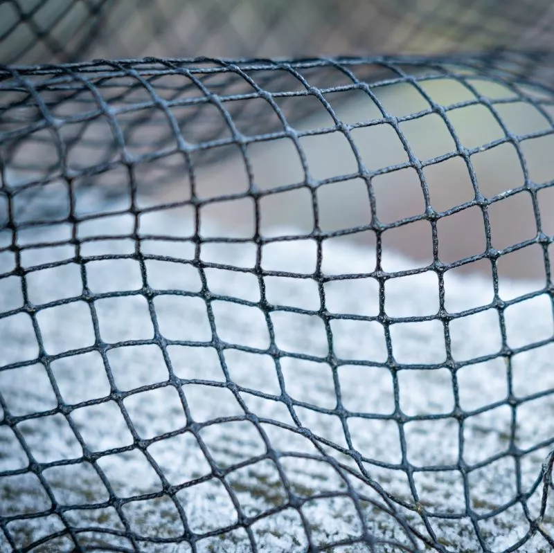 Daiwa Latex Landing Nets 9 Daiwa Latex Landing Nets - Image 7