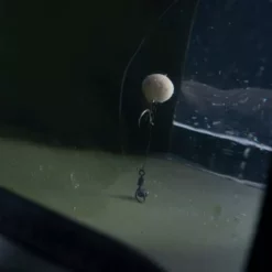 Ridge Monkey Perspective Collapsible Bucket -Game Fishing Shop 32z2cfqw637308259907297471