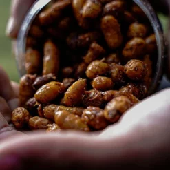 Munch Baits Jumbos In Cola -Game Fishing Shop 3dggvroh638098277731911371