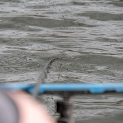 Preston Innovations Precision Rod Safe -Game Fishing Shop 3hsc14ds638042717903244735