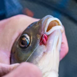 Guru Kuranku Barbed Hooks -Game Fishing Shop 3utcy0sb637697125161346203