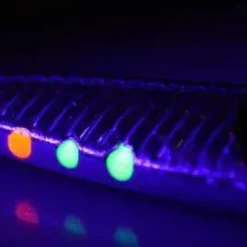 Savage Seeker ISP Lures -Game Fishing Shop 4hh4hsif636179377356611403