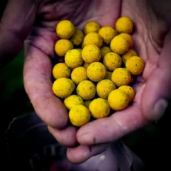 Munch Baits Citrus Nut Boilies 14mm -Game Fishing Shop 4l21ewis638097418494361546