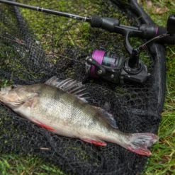 Wychwood Agitator Series 1 Reels -Game Fishing Shop 4lngybzl637133839365795095