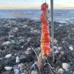 Devon Baits South Devon Crab Cart -Game Fishing Shop 4nej3uqb637896088489204765