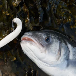 Savage Gravity Stick Pulsetails -Game Fishing Shop 4tm5oxbm637370666868950650