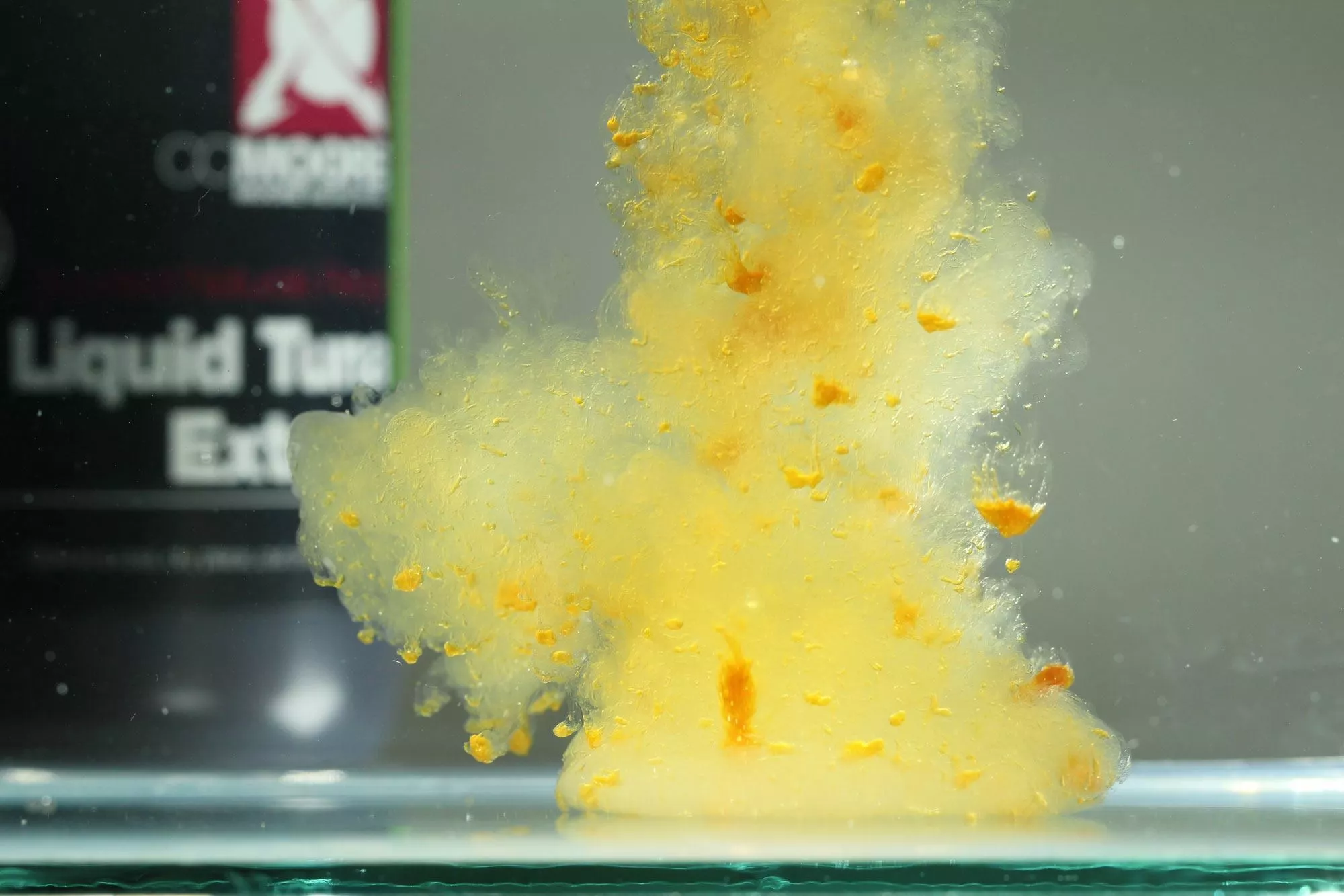 CC Moore Liquid Tuna Compound 4 CC Moore Liquid Tuna Compound - Image 2