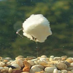 Enterprise Tackle Enterprise Imitation Bread 5 Enterprise Tackle Enterprise Imitation Bread -Game Fishing Shop BREADinTANKextrapic 1 scaled