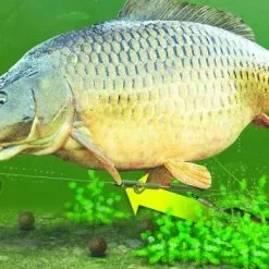 Korda Lead Clips 9 Korda Lead Clips -Game Fishing Shop YUIKJJJ