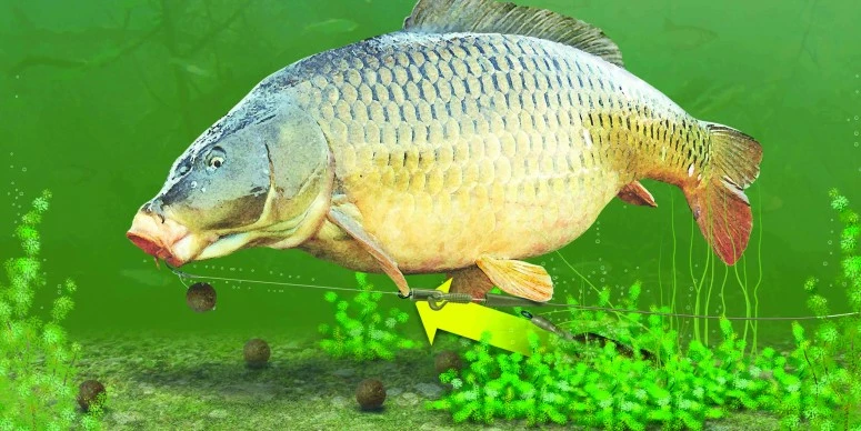 Korda Lead Clips 6 Korda Lead Clips - Image 4