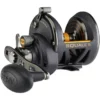 Penn Squall II Star Drag Reels -Game Fishing Shop aiqeg25v637716970189920972
