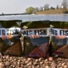 Dynamite Baits Big Fish River Feed Pellets 1 Dynamite Baits Big Fish River Feed Pellets -Game Fishing Shop bgyzcbtl636954151982216419