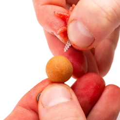 Nash Maggot Screws 12 Nash Maggot Screws -Game Fishing Shop ccdvwppj637540885501757943