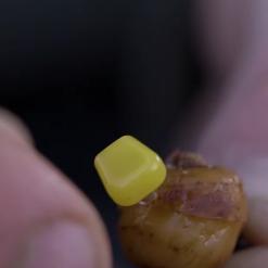 Nash Sweetcorn Screws -Game Fishing Shop cej10mpg637540873508795071