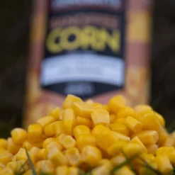Sonubaits Sweetcorn Tins 9 Sonubaits Sweetcorn Tins -Game Fishing Shop ciz0flu1637507498802873176