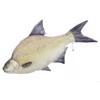 Gaby UK Gaby Bream Pillows -Game Fishing Shop ctrk1hht638114561229370680
