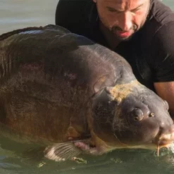 Korda Propolis Carp Care Treatment -Game Fishing Shop d2njiw2u636452351293701335