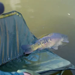 Gardner Safety Sling Mat 11 Gardner Safety Sling Mat -Game Fishing Shop du0r111m638088745311474710