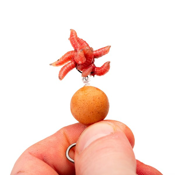 Nash Maggot Screws 8 Nash Maggot Screws - Image 6