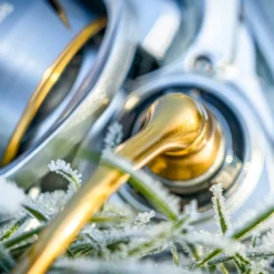 Daiwa 21 Freams LT Reels -Game Fishing Shop frntjc1i638068063445212107