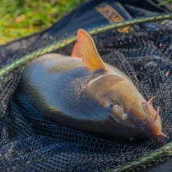 Guru Duel 600 Specimen Net -Game Fishing Shop g4bmqkqp637418920202934488