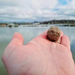 Bait-Tech Carp & Coarse Pellets -Game Fishing Shop ghfubdcz638137924492683135