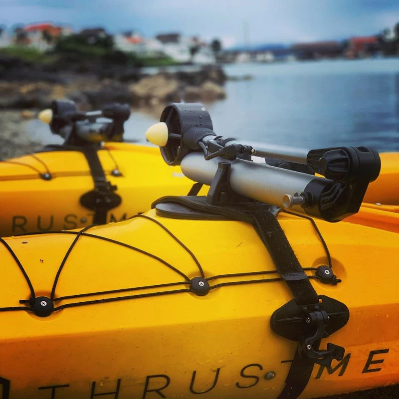 ThrustMe Cruiser Motor 6 ThrustMe Cruiser Motor - Image 4