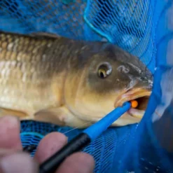 Preston Innovations Floater Disgorger Knot Picker 10 Preston Innovations Floater Disgorger Knot Picker -Game Fishing Shop h3afhpuy636670828555629495