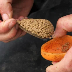 Drennan In-Line Flat Method Feeder & Mould -Game Fishing Shop h55otbrj637937496324865005