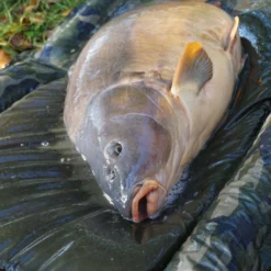 Prologic Avenger Foam Beanie Mat -Game Fishing Shop hd5ay4sw637429385902227612