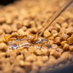 Sonubaits Absolute Fish Oil 11 Sonubaits Absolute Fish Oil -Game Fishing Shop hnu213jb637831076906033443