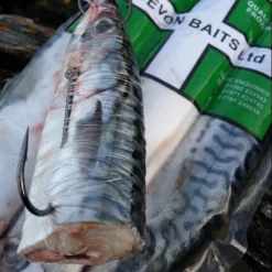 Devon Baits Frozen Whole Mackerel -Game Fishing Shop hudbjtfr637780083095541987