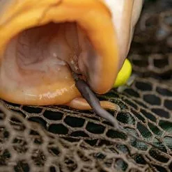 Fox Edges Tungsten Line Alignas 8 Fox Edges Tungsten Line Alignas -Game Fishing Shop hvf0ozi2636862519703615555