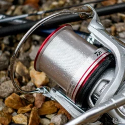 Daiwa 19 Emblem Surf 45 SCW QD Reel